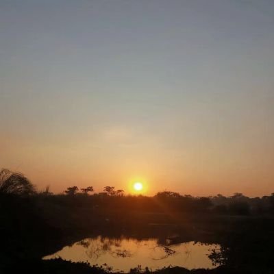 Juribharali1's profile picture. 💞