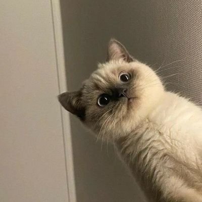 honmys's profile picture. a space for my thoughts.