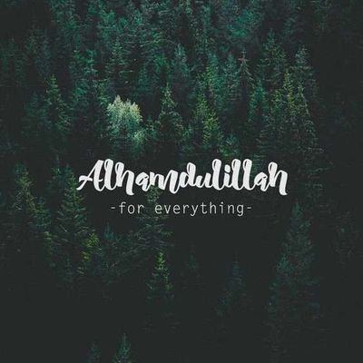 AdetoyiAA1's profile picture. Crypto Farmer 📈📉. Alpha Researcher & Memecoin Degen