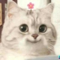 ttaa (@qttaa_) 's Twitter Profile