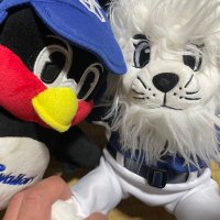 エール@YEELL🐧🦁 (@yeell_swallow) 's Twitter Profile