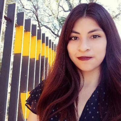 Internacionalista y asesora parlamentaria con interés en temas de política exterior, medio ambiente y sustentabilidad.
P9 / UNAM - FES Acatlán /PUEE
✨
Swiftie
