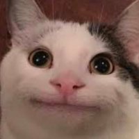 狐福 (@bannintofu) 's Twitter Profile