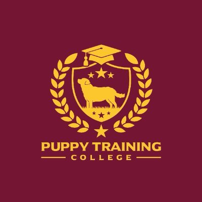 At the Puppy Training College we offer appropriate supervised interactions and training for puppies using science based compassionate training methods.