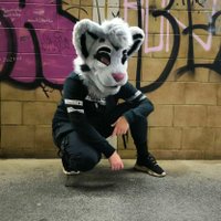 Shineko (@shineko_sekushi) 's Twitter Profile