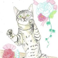 catsfamily (@cats1962jiji) 's Twitter Profile