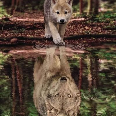 Es ist egal, wer vor dir steht! Wenn du weißt wer hinter dir steht!

und ganz wichtig! 

             EINEN SCHEISS MUSS ICH!