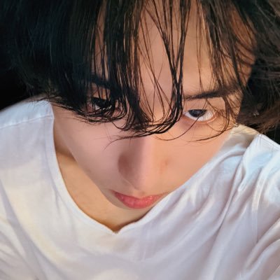 cnihachuu's profile picture. dracula: my name is dvd normal.