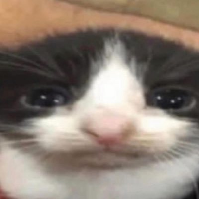 barelybaldbaT's profile picture. shit and piss. that is a threat.  @reallyradrat