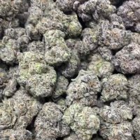 SolanaWeedMan (@solanaweed) 's Twitter Profile