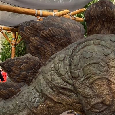 5fKnvztJiH16572's profile picture. 