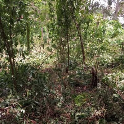 tcheneghon_m_h's profile picture. Love all about technologies. Want to become specialist in machine learning.