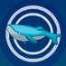 WhaleProject (@WhaleProject1) Twitter profile photo