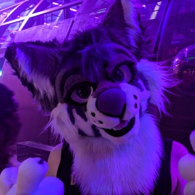 Wolferdoodles.bsky.socialさんのプロフィール画像