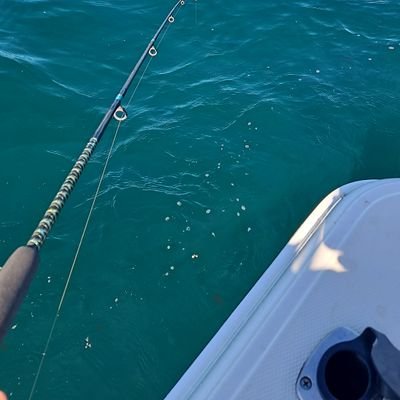 a_mus12's profile picture. sport sport and more sport