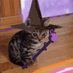 sad cat wizard (@OfTowering) Twitter profile photo