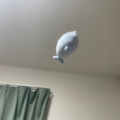 x36LDK's profile picture. uts1-5🇷🇺 推薦9期(理) @d7511168 / 柏葉74期Bass