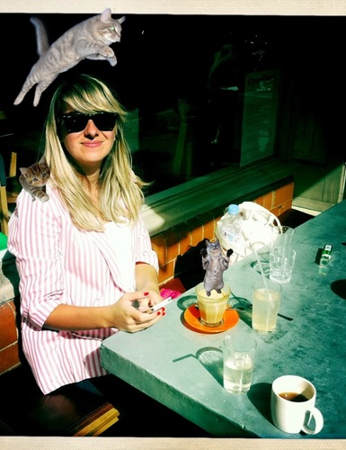 coffee addict invaded by cats