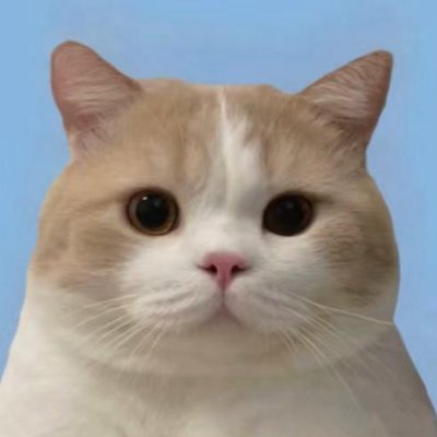 bNw53UAj_wR's profile picture. 