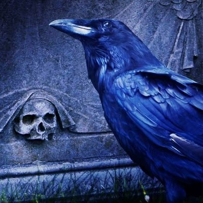 silva_1za's profile picture. 