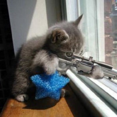 Catwifcolt (ticker: KITI)

Teh Kitty watches over n makes sure frens are safe.

TG: https://t.co/m2mBxAzzdm

CA: 5umEdDSjV3T9tRWm6BCJUJyPypqiYvqah1E1KQbspJTW