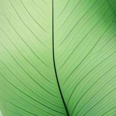 Maria26073433's profile picture. Brasil 🇧🇷