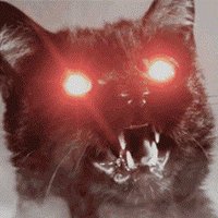 reeft (@reeft) 's Twitter Profile