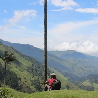 Orgullosamente docente 👨🏻‍🏫
Populista de Laclau ✌️
Doctor en educación de la UBA, universidad pública ✊
Con las madres y las abuelas siempre 🤍
SNM