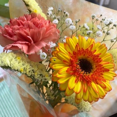 0312_ka's profile picture. パン屋でパート🫶🏼💕⇒🍞🥖🥐、犬、猫動画を観る、ASKAさん、織田裕二さん♡ チワワのモカ🐶ﾎﾜｲﾄﾁｮｺﾚｰﾄﾀﾝ2歳♪