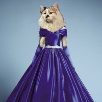 Lil Roo 74 (@cassalia12) 's Twitter Profile