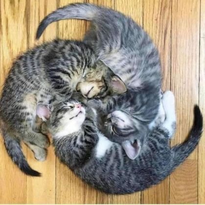 BlueNSFW420's profile picture. 