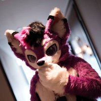 曜曜 / Yao (@huskyaoo) 's Twitter Profile
