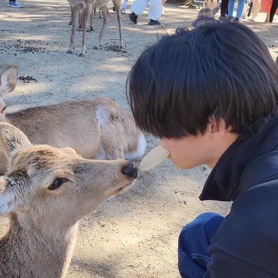 kkk91t's profile picture. 神戸の限界高専生Lv.3 / NHKロボコン部 設計🔰 / 23s Bピット / 24s Aメンバー / 25s Aリーダー