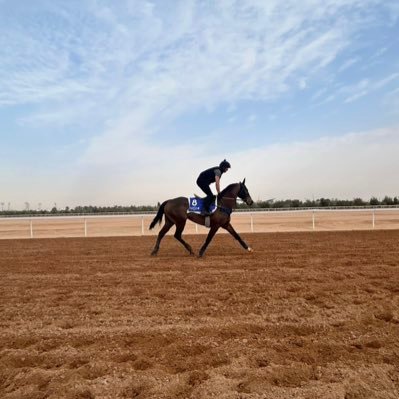 On a 🐎 or on the ⛳️ - Worked in the horse racing industry for 10+ years and usually tweeting about it.
