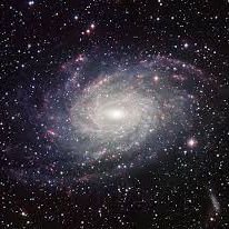 Operador logístico. 🏭📍🚛
Auditor de procesos CEDI. 🕵️🚚🌐...
❤️ las teorías de la creación del universo. 🌌
G~Zoomers. 🫡