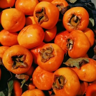 wan_gu88988's profile picture. 