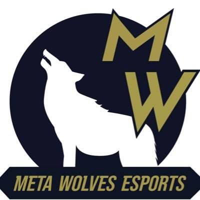 METAwolwes Profile Picture