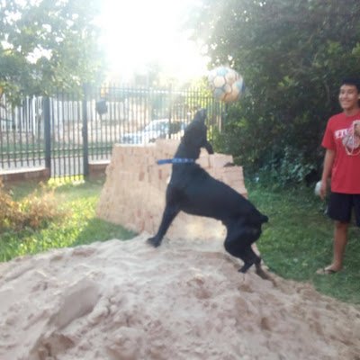 CarolinaS19479's profile picture. 