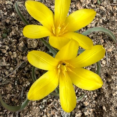 ZirNa97730's profile picture.