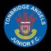 TonbridgeAngelsJuniorAcademy (@angelsjuniorfc) Twitter profile photo