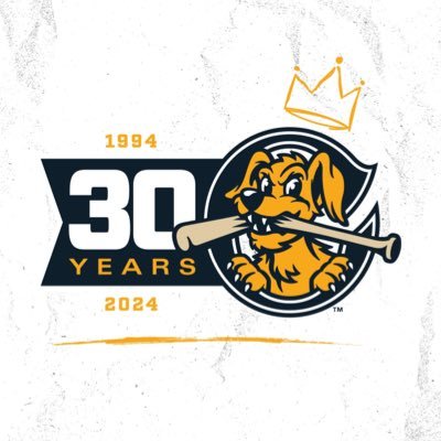 Charleston RiverDogs Profile