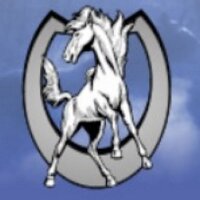 Dobson High (@dobsonhigh) 's Twitter Profile