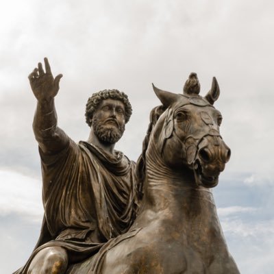 Marcus Aurelius In The Flesh. Roman Emperor. Crypto and Stock’s Investor.