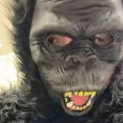 b3llalug0si's profile picture. 🐈‍⬛🪨📿🤵🏻‍♀️