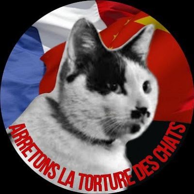 Voix française de Féline Gardiens : 
Groupe pour dénoncer et combattre des réseaux de torture de chats, initialement basé en Chine URGEMMENT