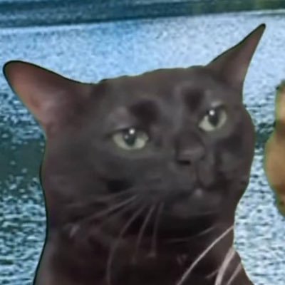 dobryiden_evrbd's profile picture. 🇺🇦 Support Ukraine now: https://t.co/3ukKhmACPO