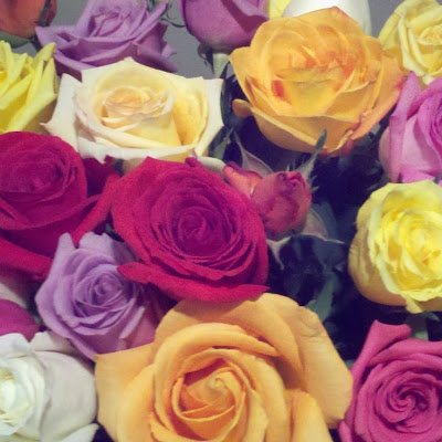 AlaiaMichelle's profile picture. 