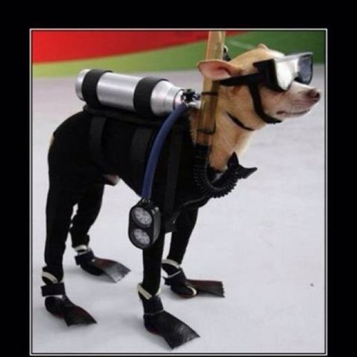 blueskky's profile picture. Independent conservative, who loves this country, and is mad as hell at what career politicians have done to our country. Get off your ass and get involved.