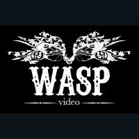 Wasp Video(@WaspVideo) 's Twitter Profile Photo