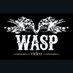 Wasp Video (@WaspVideo) Twitter profile photo